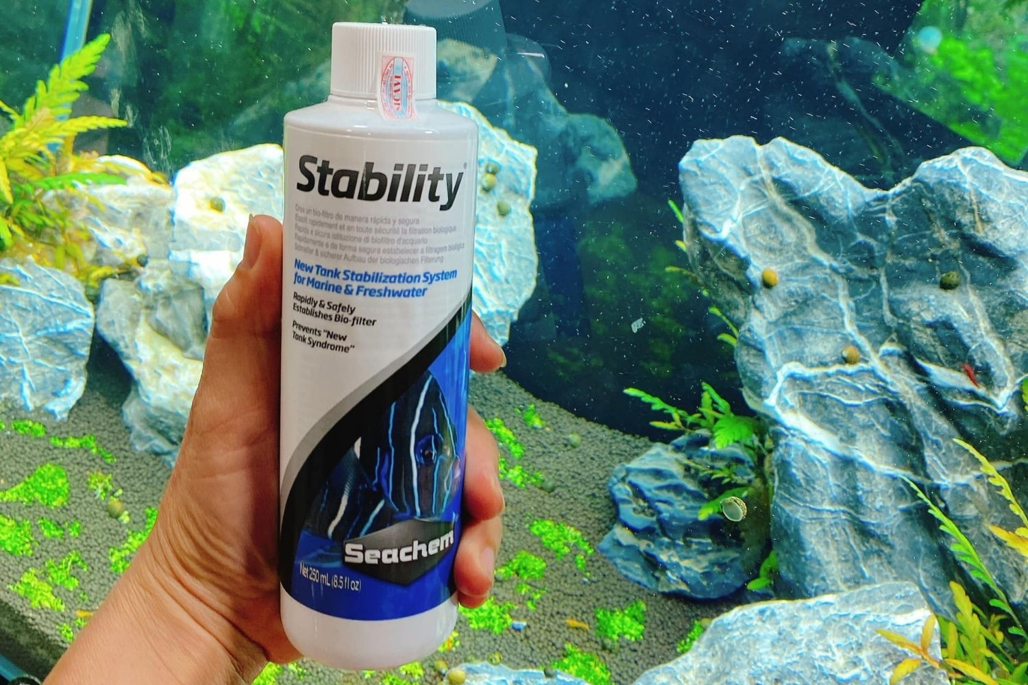 seachem stability aquarium bacteria supplement