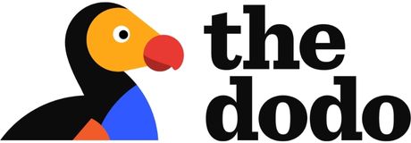 The Dodo Logo